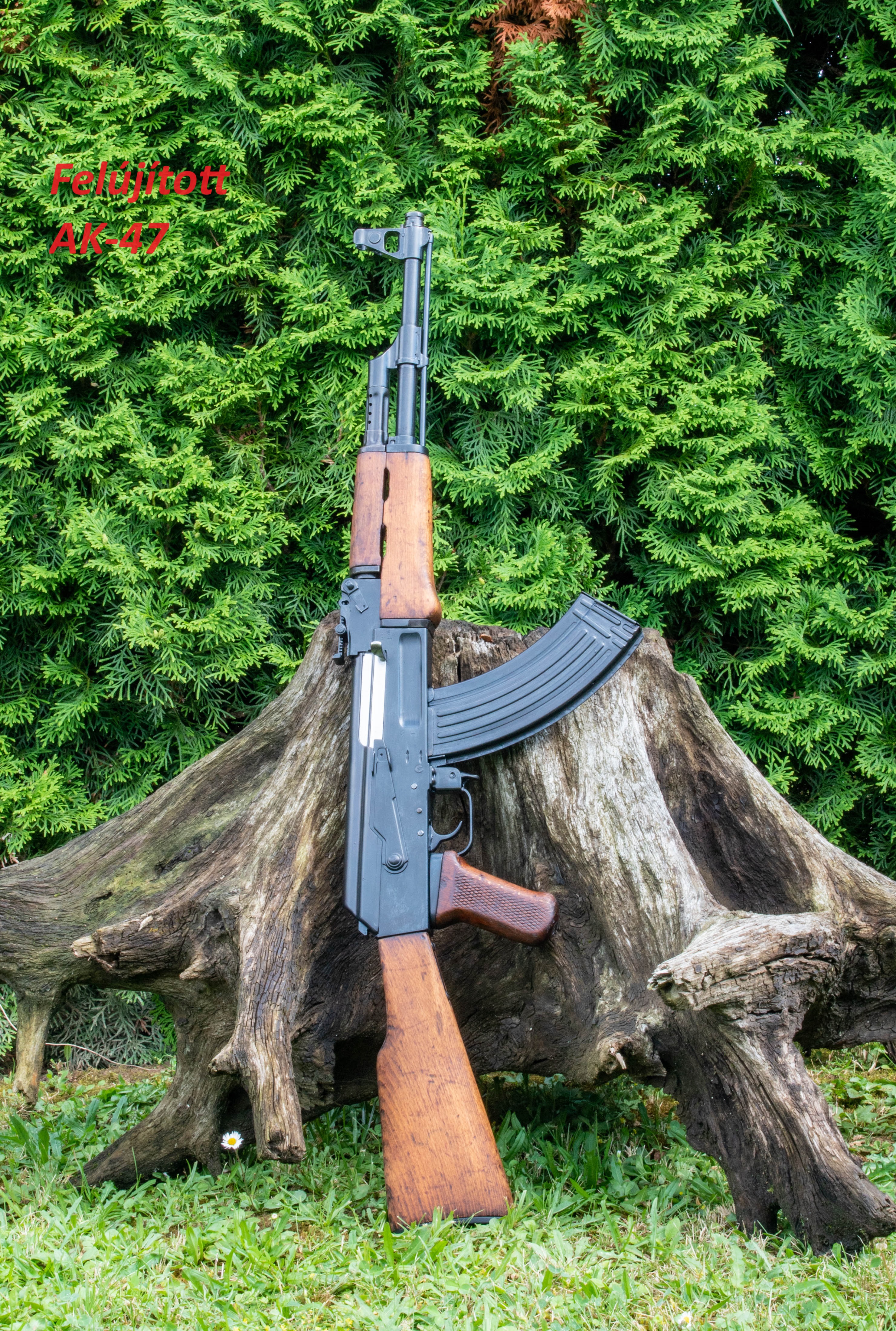 Kép 3