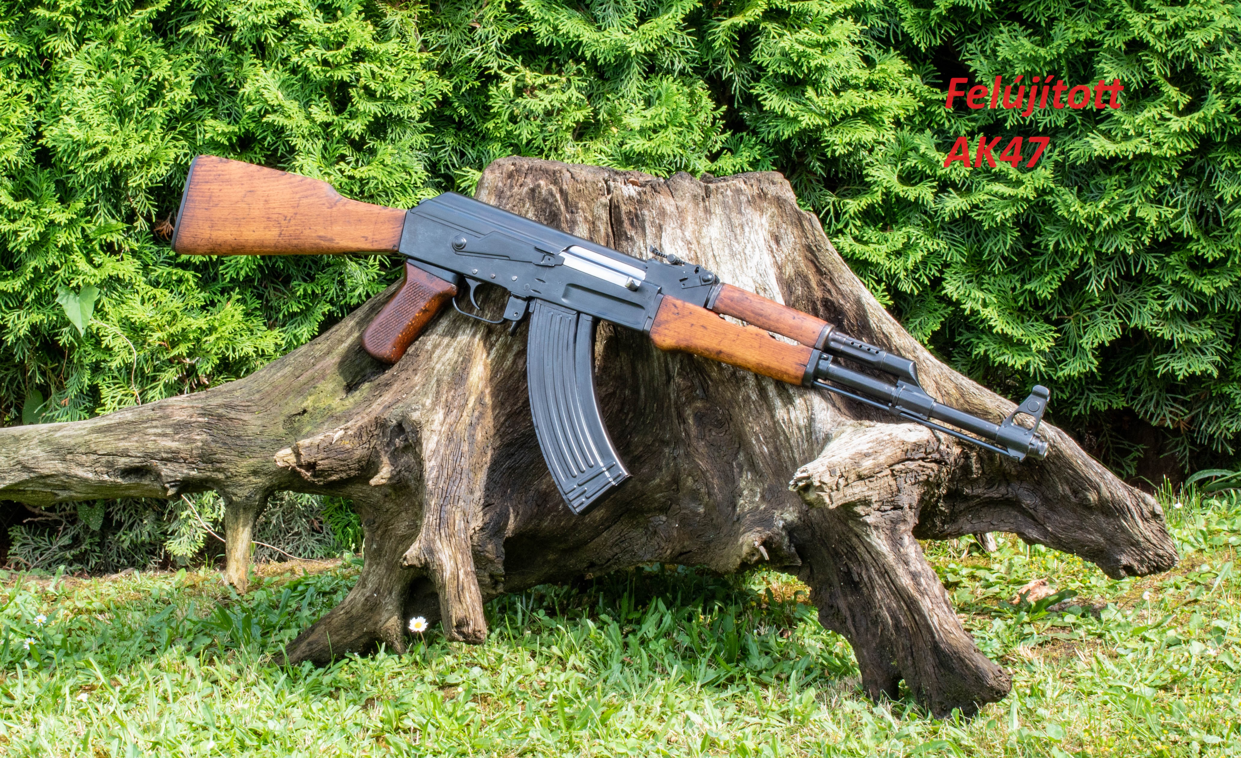 Kép 4