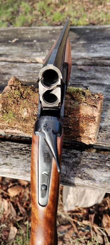 Kép 10