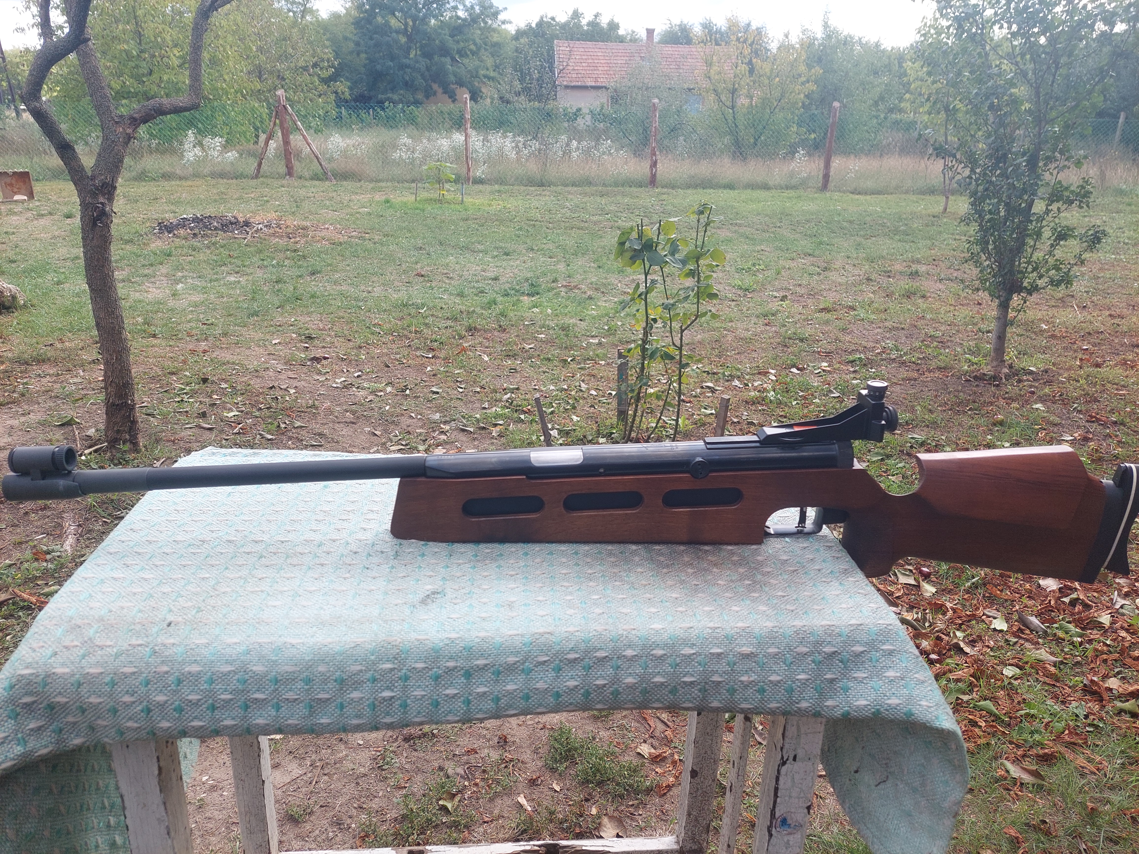 Kép 5